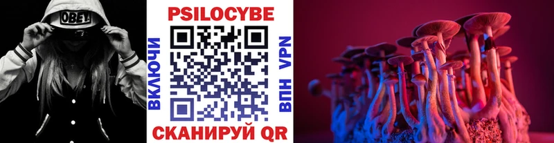 Псилоцибиновые грибы мицелий  Купить  Зуевка 